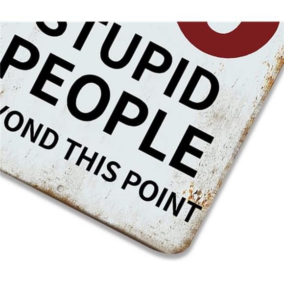 Cartello Metallico Warning - "No Stupid People Beyond This Point", 20x30cm, Decorazione Vintage - Foto 8